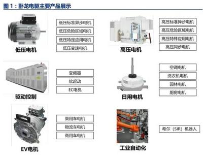 啟動(dòng)會(huì) | 攜手全球電驅(qū)龍頭,瑞泰信息助力臥龍電驅(qū)全球營(yíng)銷(xiāo)數(shù)字化升級(jí)